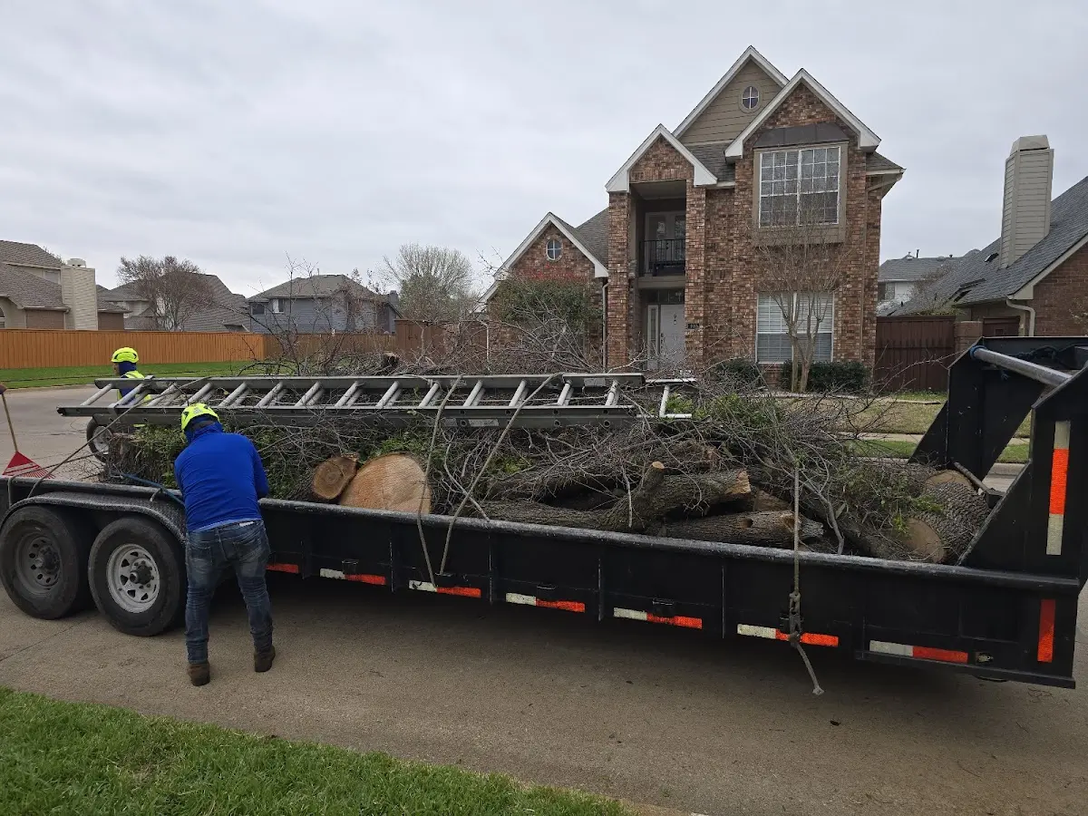Expert Tree Fertilization with proper safety equipment in Sugar Run